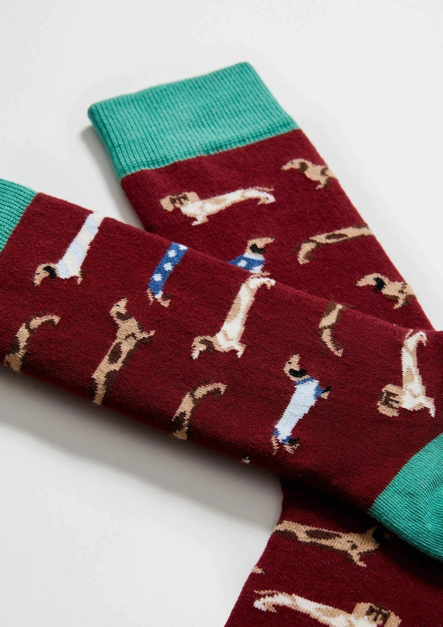 Chaussettes Teckels BePets - BeSocks