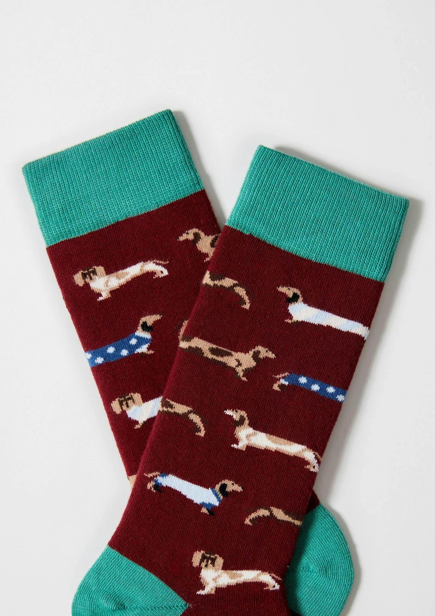 Chaussettes Teckels BePets - BeSocks