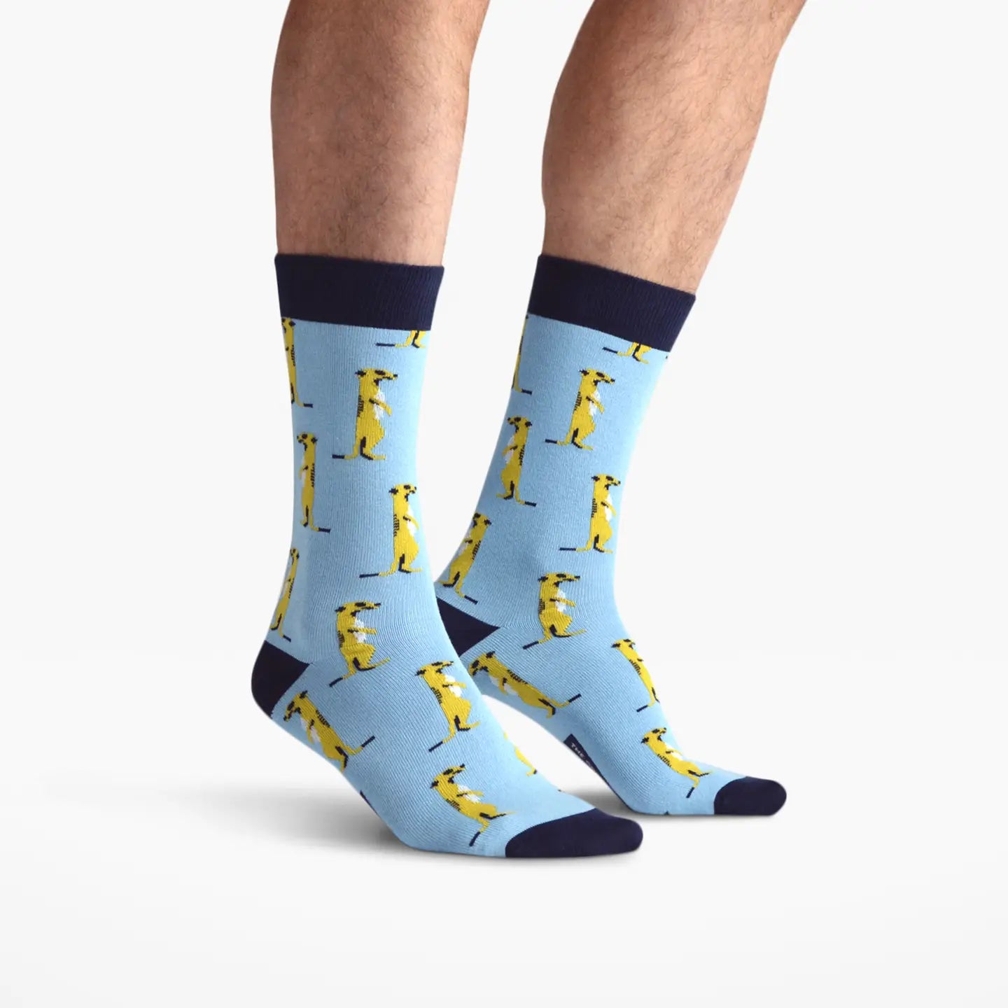 Chaussettes Suricates Bleu The Arctic Bay