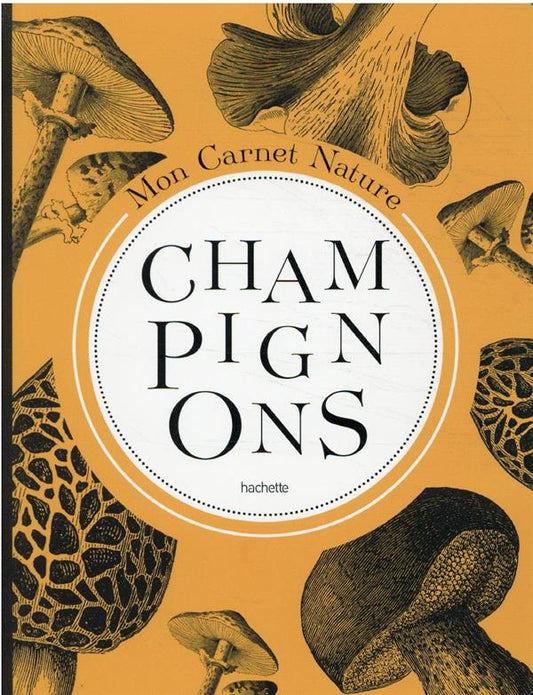 Mon carnet nature : Champignons HACHETTE