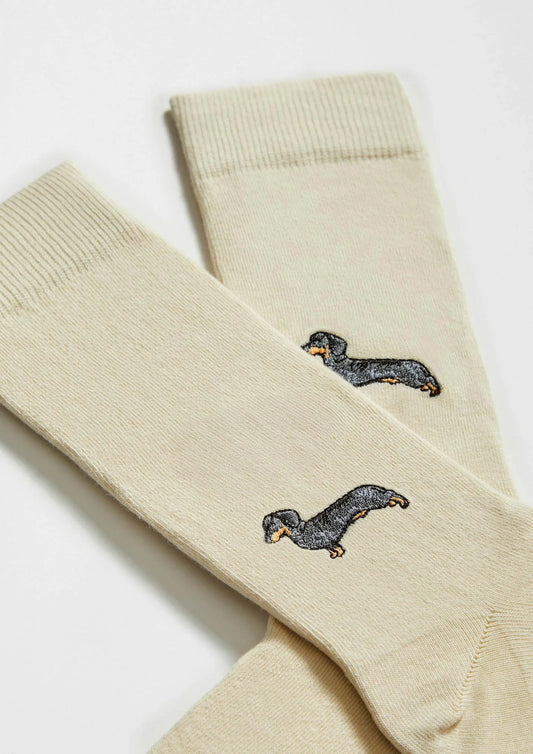 Chaussettes Homme broderie Teckel BeSocks
