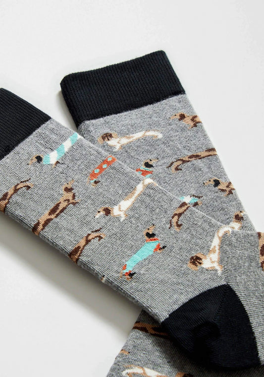 Chaussettes Teckels BePets - BeSocks